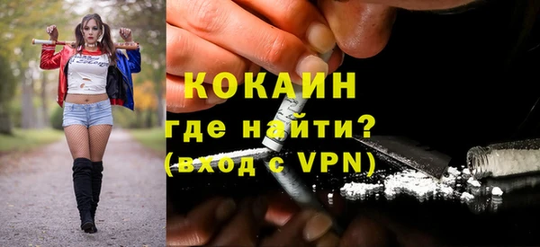 шишки Абаза