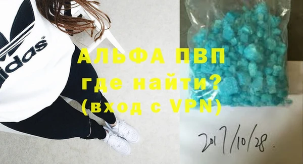 шишки Абаза