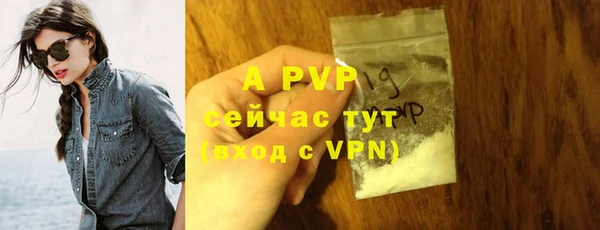 шишки Абаза