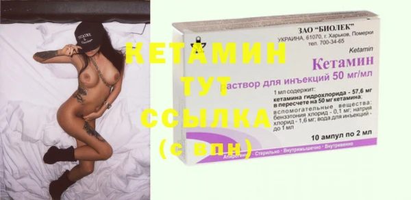 шишки Абаза