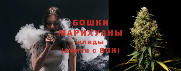 шишки Абаза