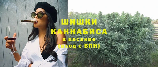 шишки Абаза