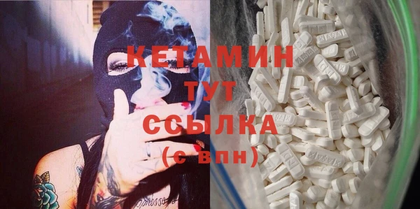шишки Абаза