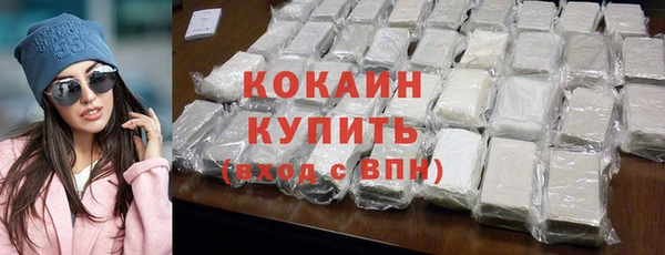шишки Абаза