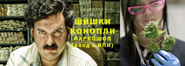 шишки Абаза