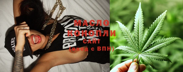 шишки Абаза