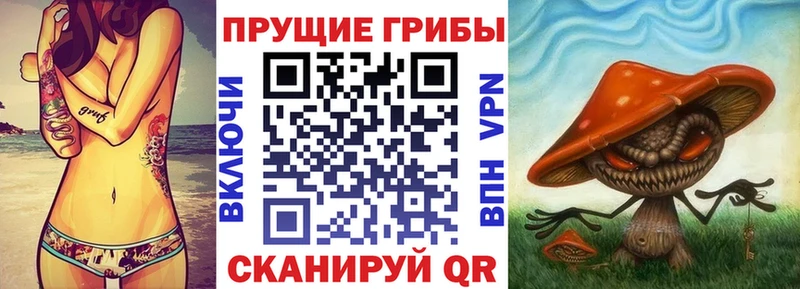 Галлюциногенные грибы мицелий  мега   Шацк 